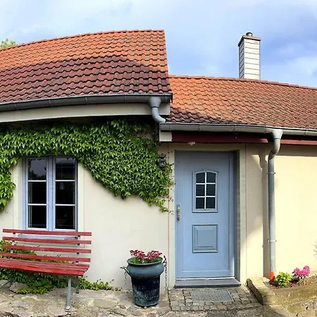 Im Kneipenviertel Altkoetzschenbroda Апартаменты
